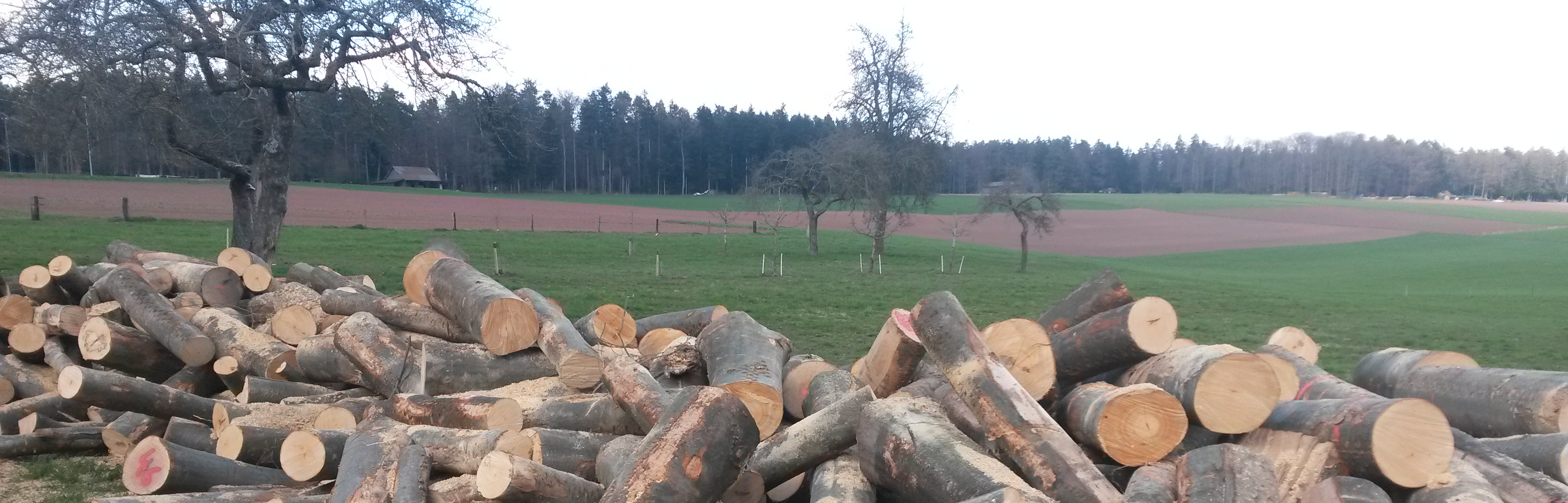 Bild5