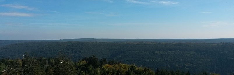 Schwarzwald